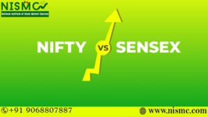 Read more about the article What’s the Big Difference Between Nifty and Sensex?